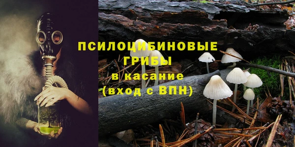 прущие крисы Балахна